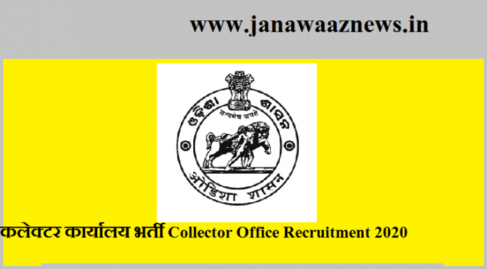 Collector Office Recruitment 2020
